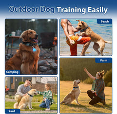 Dog Electric GPS Fence Wireless Collar