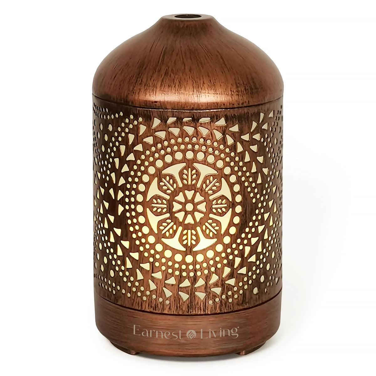 Earnest Living Essential Oil Diffuser Metal Diffuser 100 ml Timers Night Lights and Auto Off Function Home Office Humidifier Aromatherapy Diffusers for Essential Oils