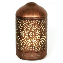 Earnest Living Essential Oil Diffuser Metal Diffuser 100 ml Timers Night Lights and Auto Off Function Home Office Humidifier Aromatherapy Diffusers for Essential Oils