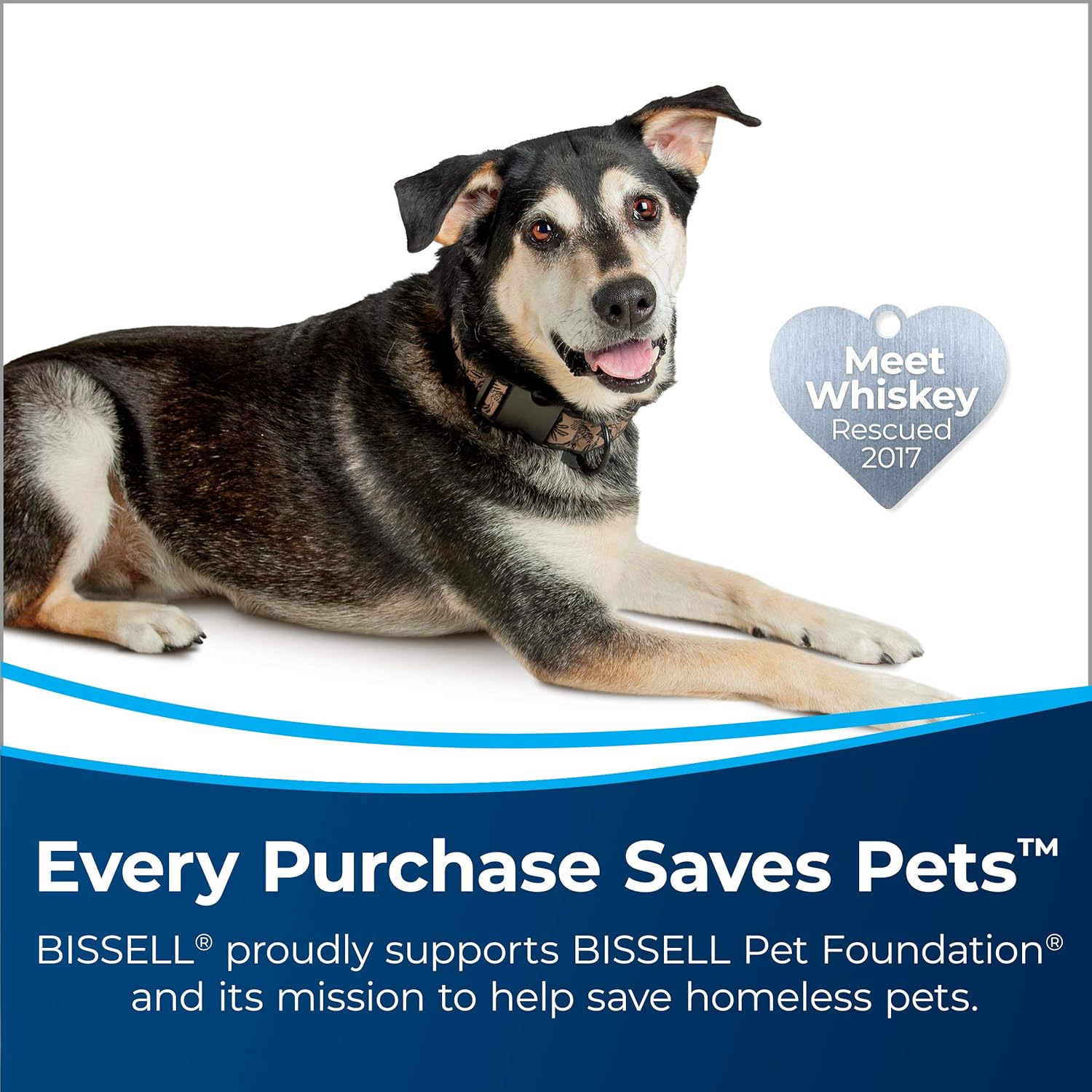 BISSELL PowerClean TurboBrush Pet Carpet Cleaner  2806D