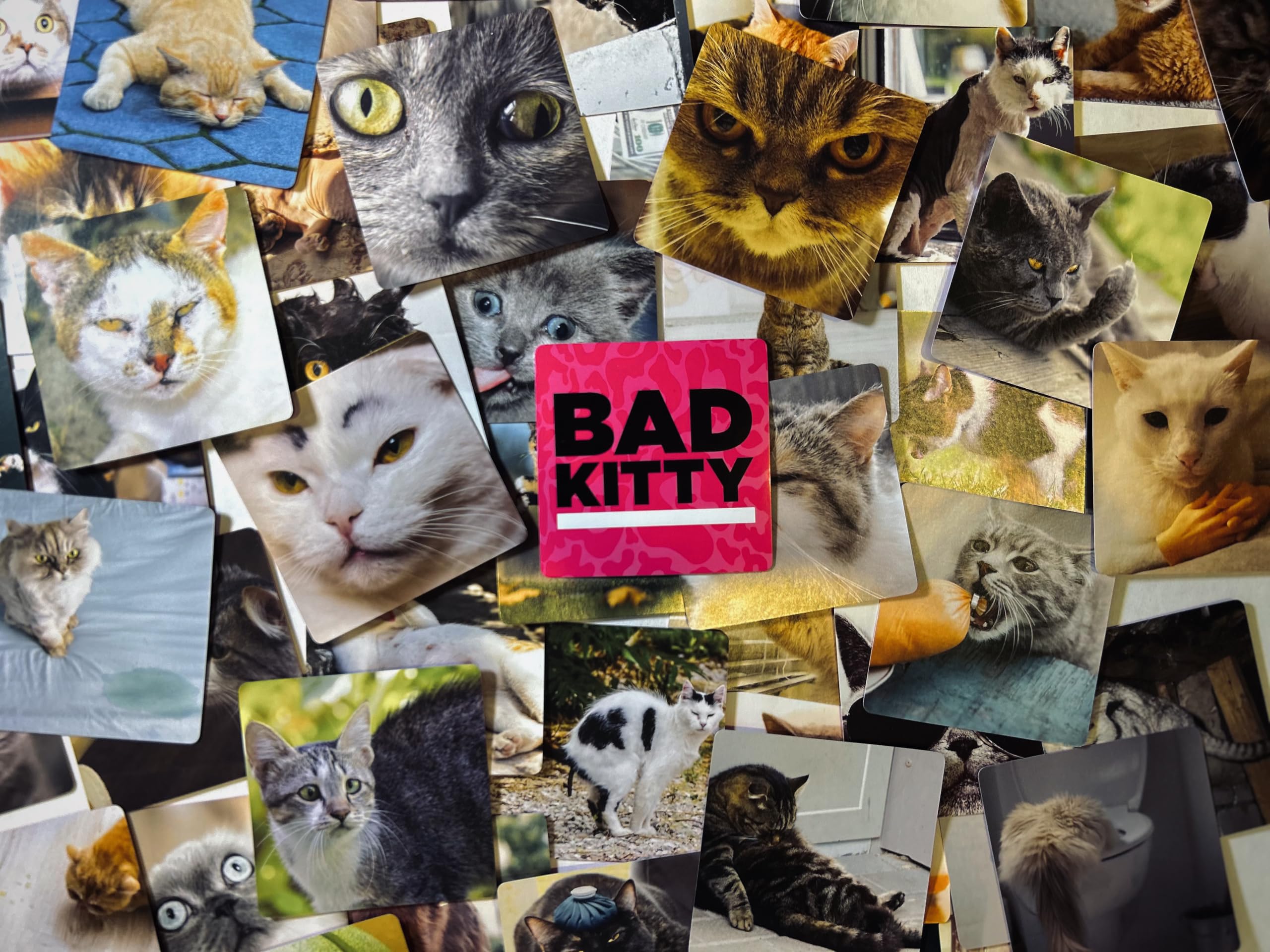 Bad Kitty Party Game - The Ultimate Meme Game with Cats - The Cats Against Humans Card Game for Feline Lovers, Friends, Family, College Students, Fun Parties and Board Games Night with Your Group