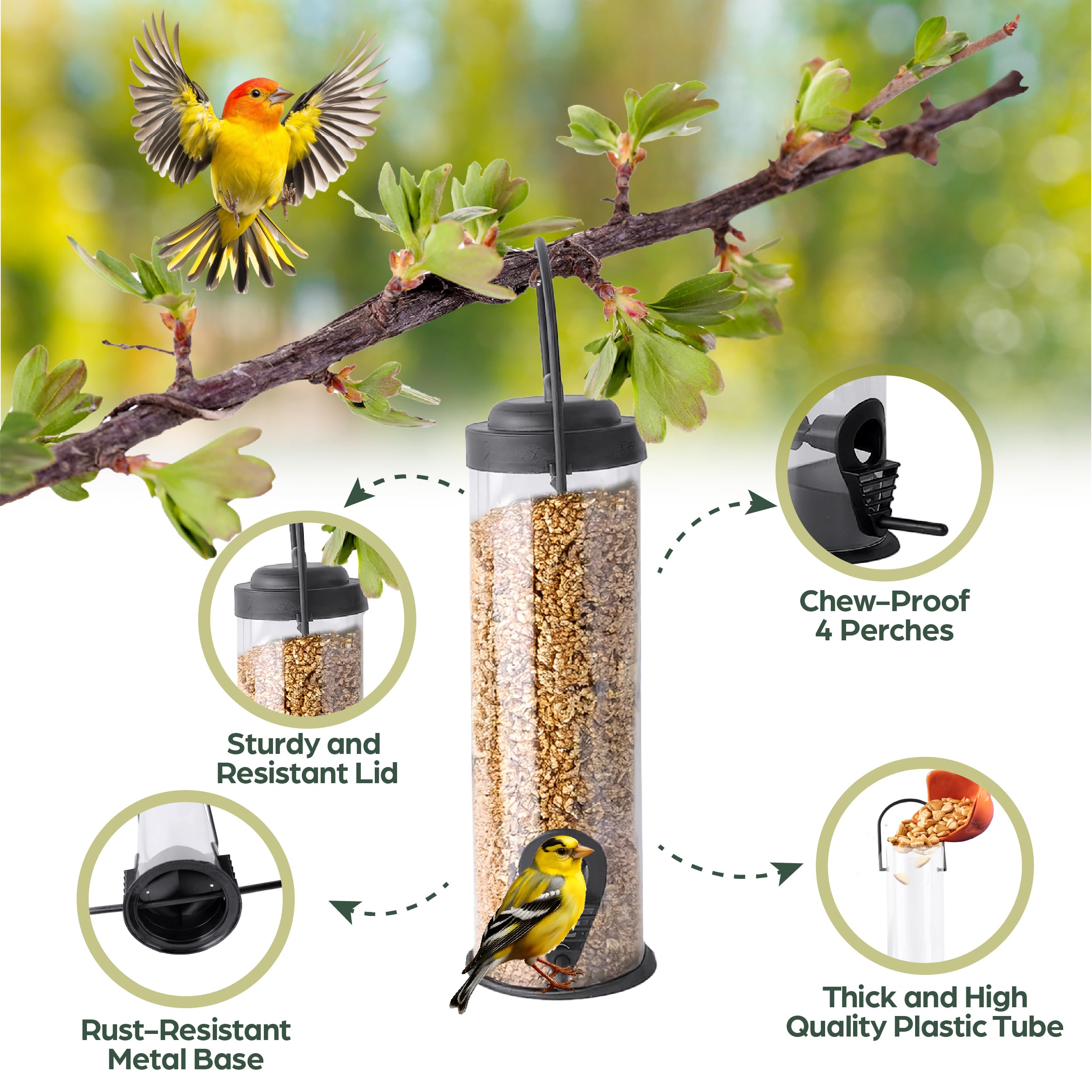 2-Pack Black Bird Feeders