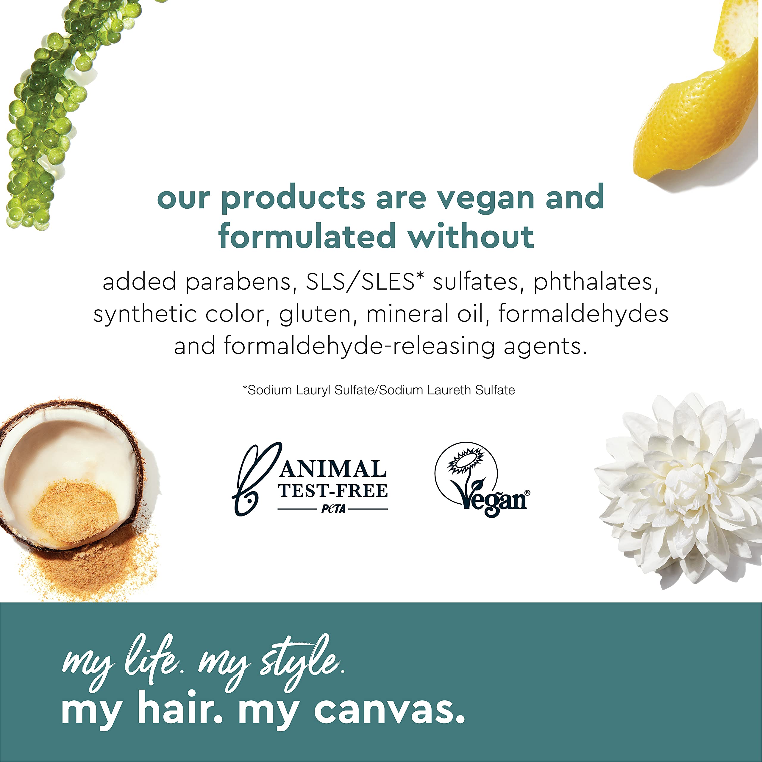 Alterna 251ml My Hair My Canvas Me Time Everyday Vegan Color-Safe Shampoo | Moisturizing & Enhances Hair Shine | Sulfate & Paraben Free
