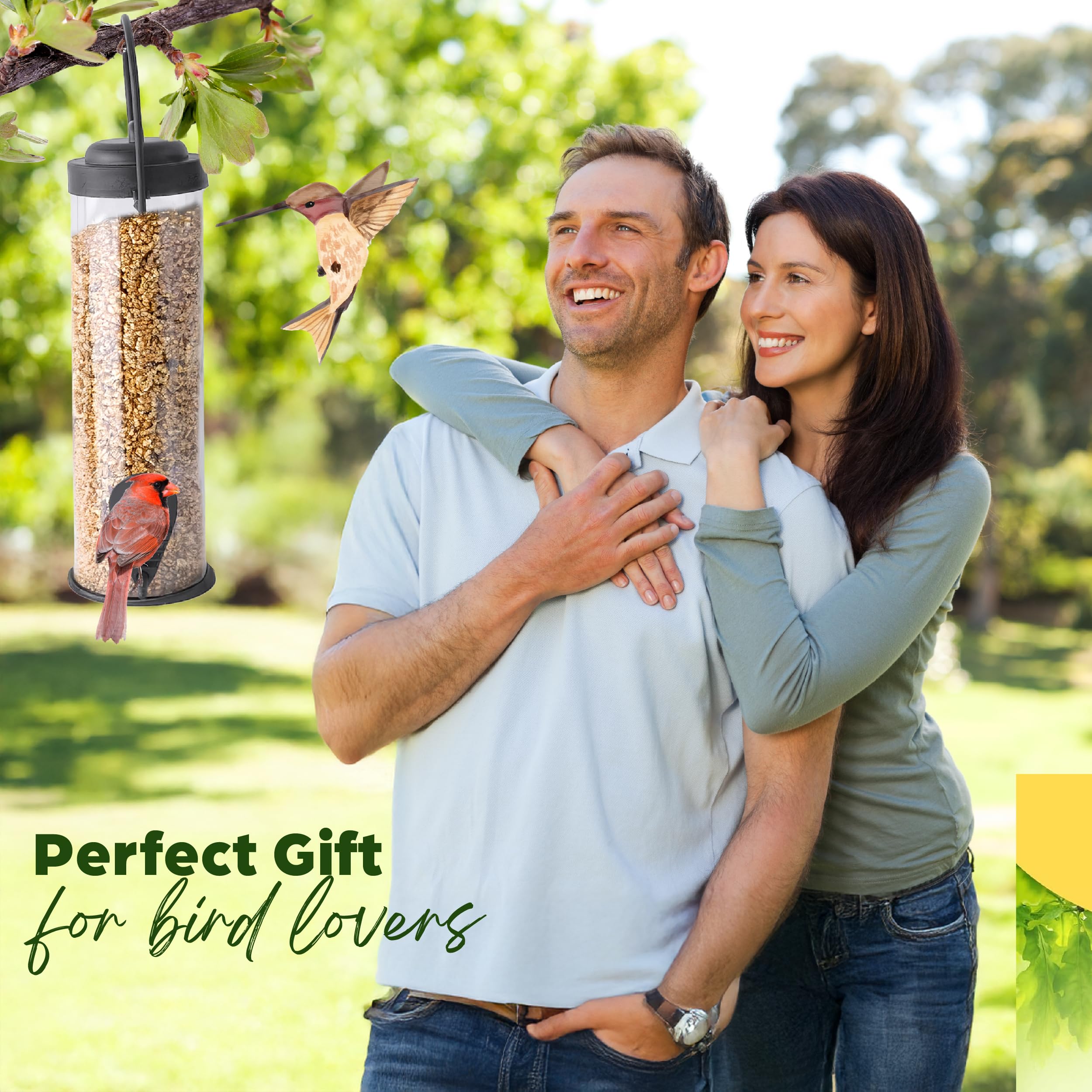 2-Pack Black Bird Feeders