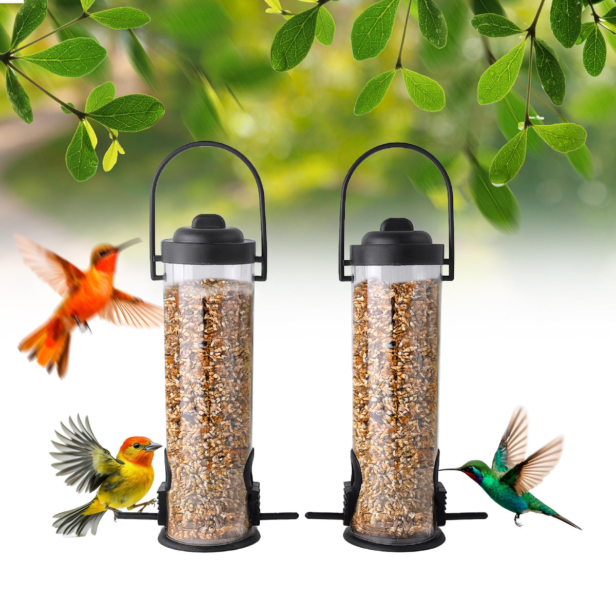 2-Pack Black Bird Feeders