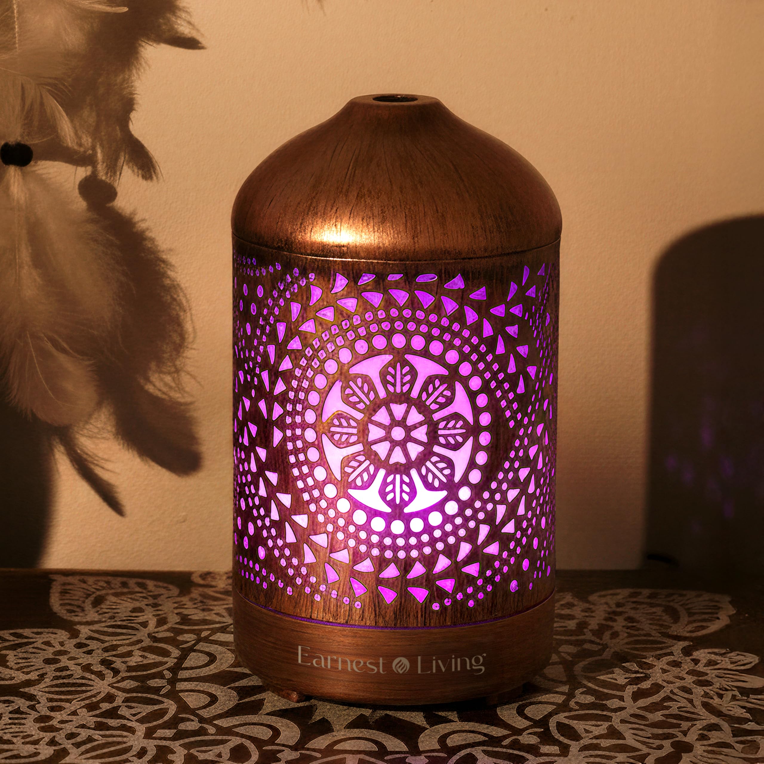 Earnest Living Essential Oil Diffuser Metal Diffuser 100 ml Timers Night Lights and Auto Off Function Home Office Humidifier Aromatherapy Diffusers for Essential Oils