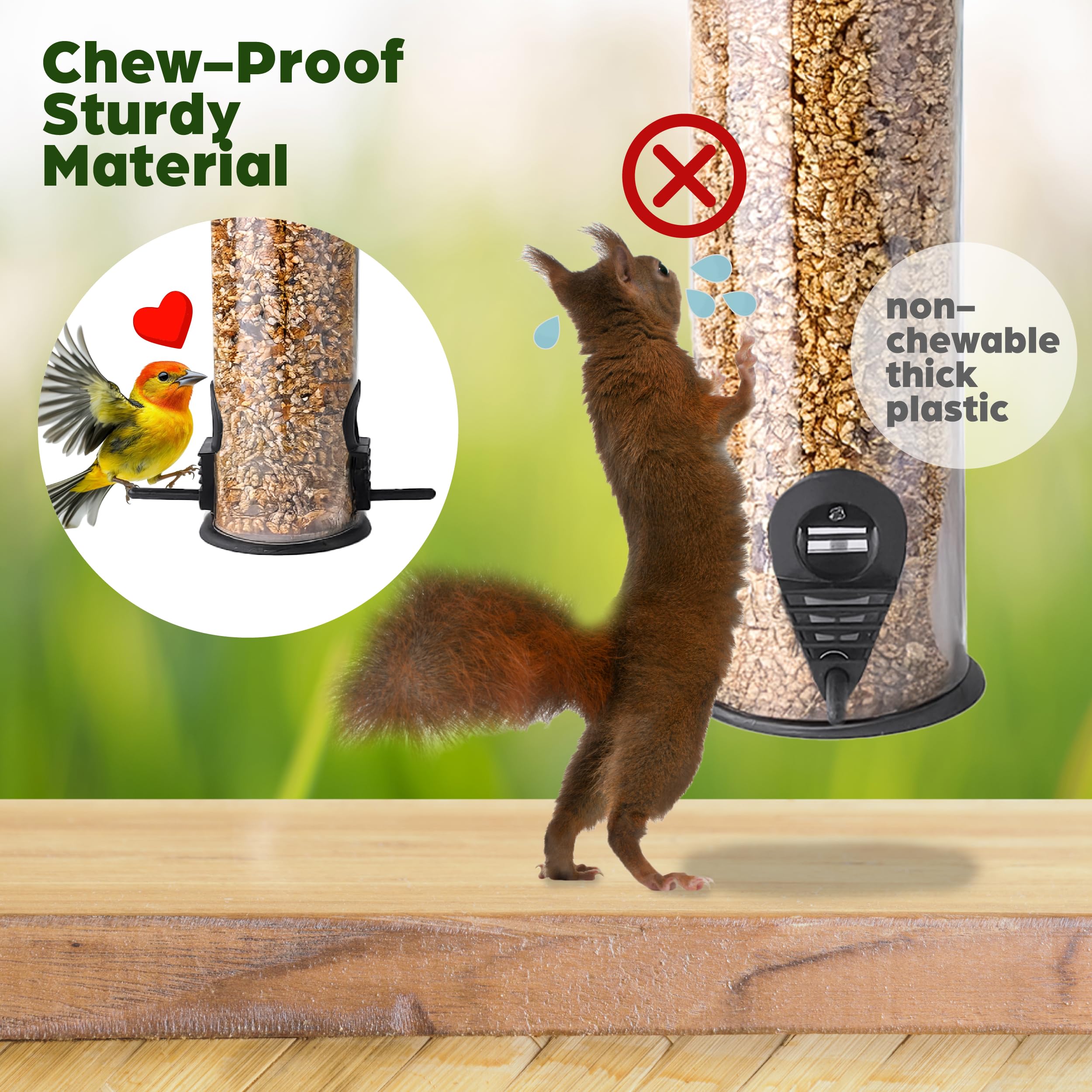 2-Pack Black Bird Feeders